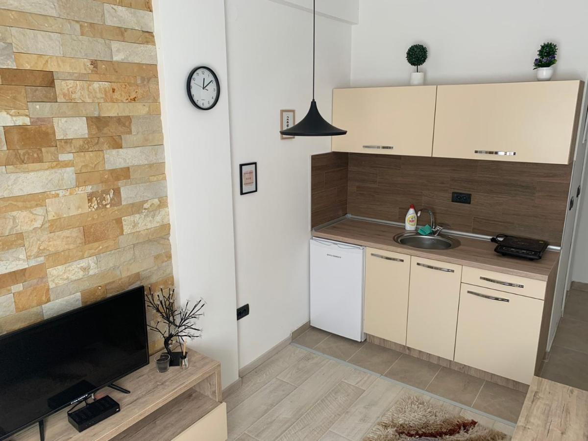 Apartmani Dzankovic Kopaonik Zewnętrze zdjęcie